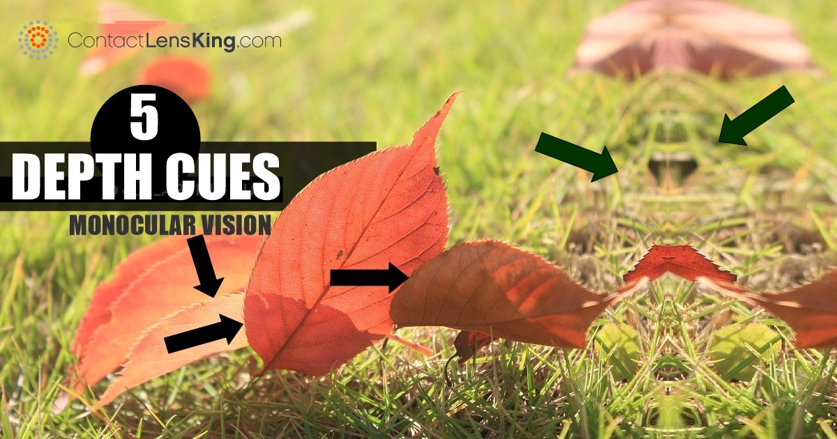 5 Monocular Depth Cues Adjusting to Monocular Vision Contact Lens