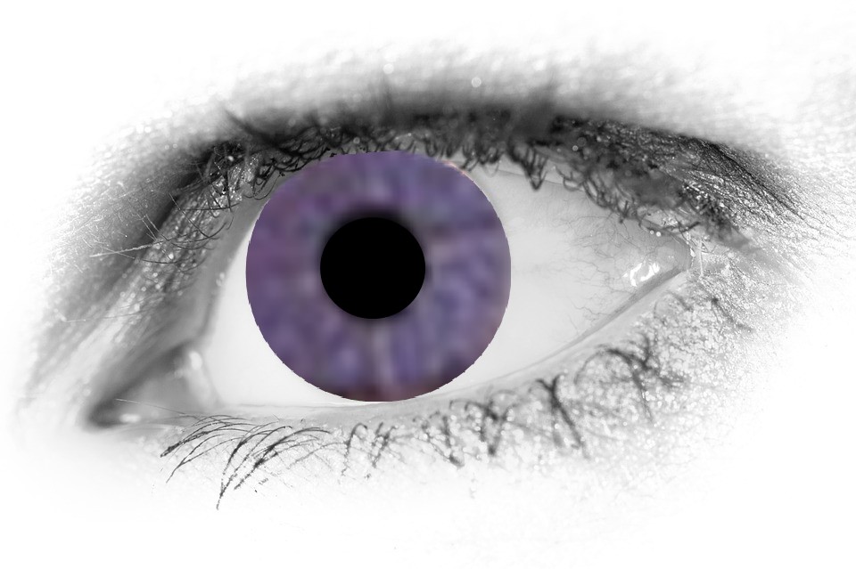 What are the Rarest Eye Colors In The World - Contact Lens King Blog